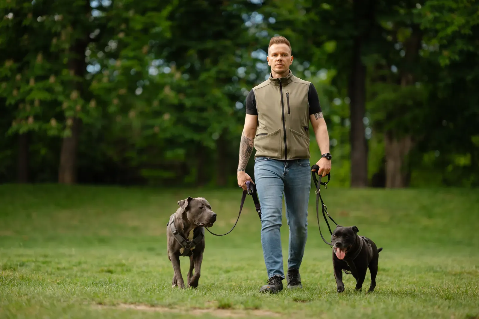 Steffen Taubitz, Hundetrainer aus Graz, geht entspannt mit seinen beiden Hunden an lockerer Leine.