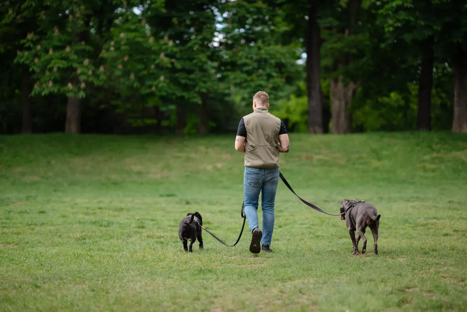 Hundetrainer Steffen Taubitz, beim Spaziergang mit Johnny und Luna durch den Stadtpark in Graz
