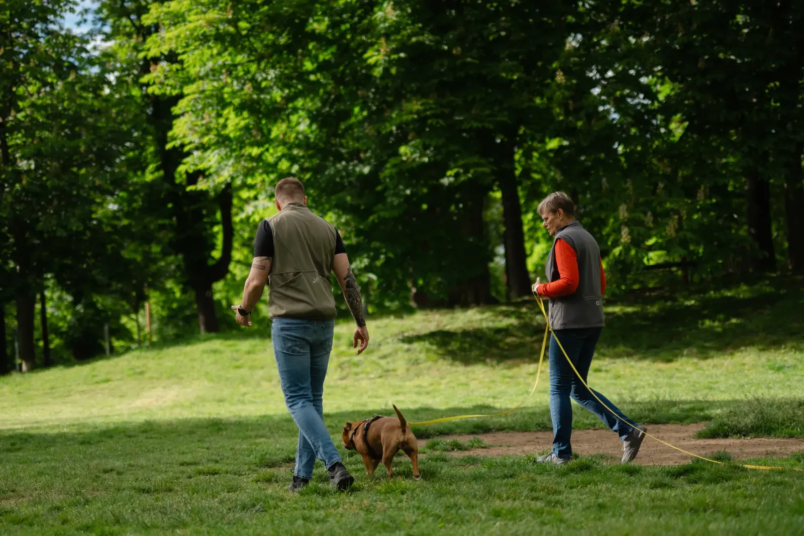 Reaktiver Hund läuft entspannt an lockerer Leine zwischen Halterin und Steffen Taubitz beim Training im Stadtpark Graz