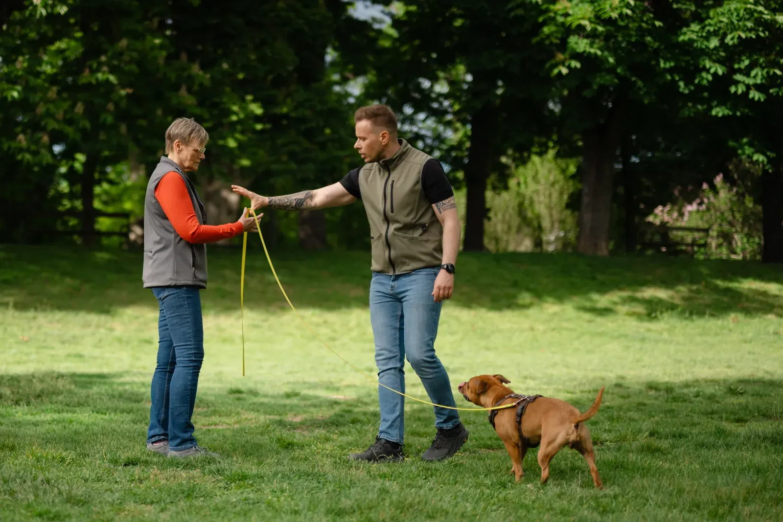 Hundetrainer Steffen Taubitz übergibt einer Halterin die Schleppleine ihres Hundes während des Trainings im Park in Graz