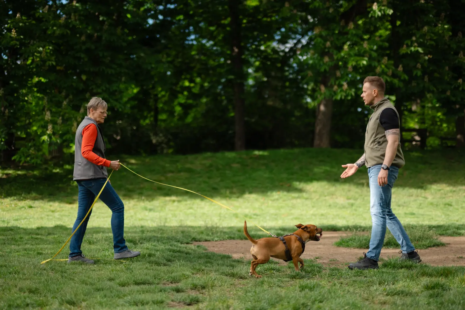 Reaktiver Hund schlägt beim Training an der Leine an, Steffen Taubitz arbeitet mit einer Halterin im Stadtpark Graz