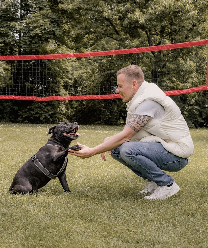 Maßgeschneidertes & effektives Hundetraining