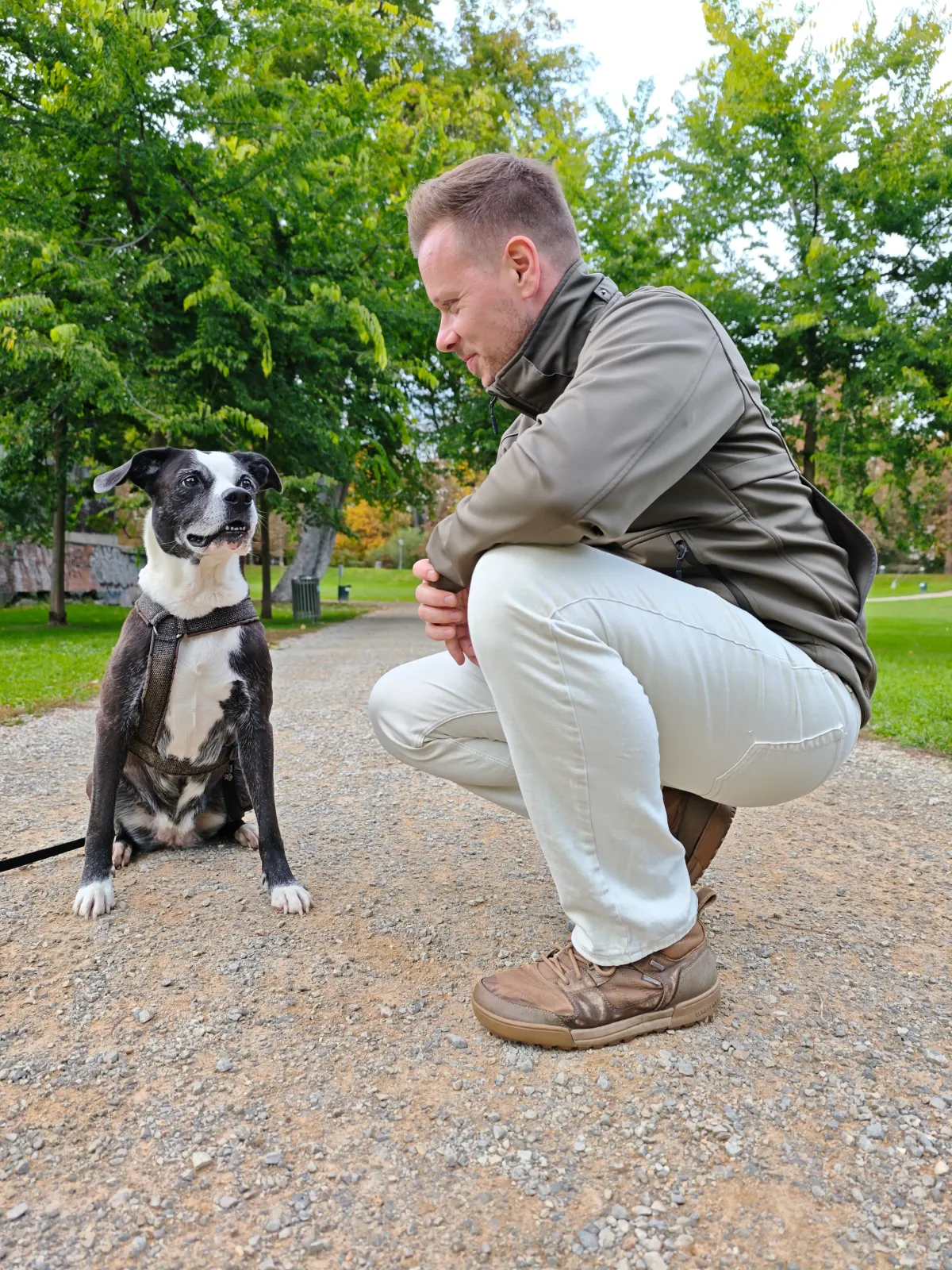 Alltagsnahes Hundetraining in Graz & Umgebung